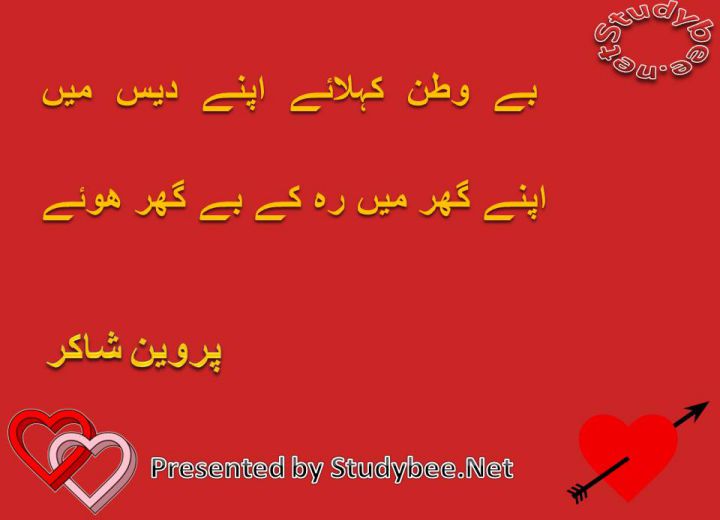 Be watan kehlaye apnay des main apnay ghar main reh k be ghar ho gaye