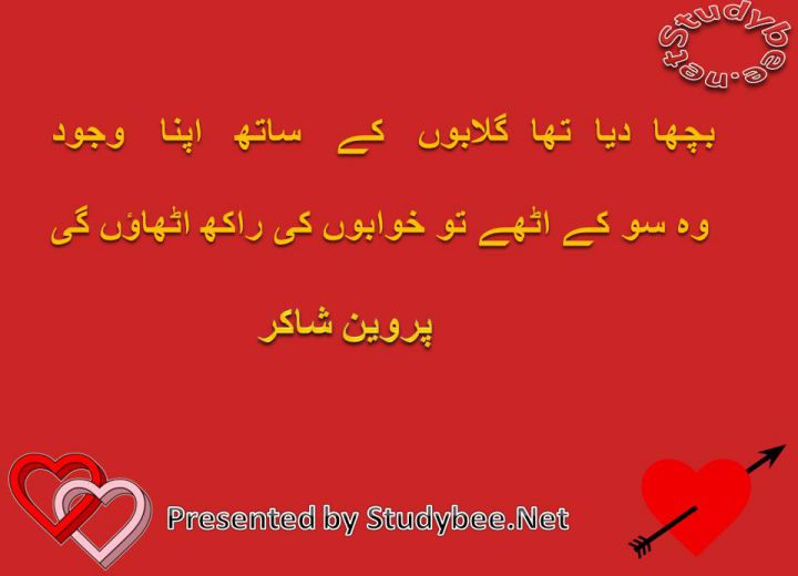 Bicha diay tha gulabon k sath apna wajood wo so k uthay to khwabon ky rakh uthaon gy