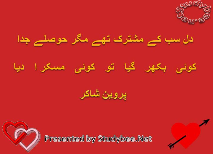 Dil sab kay mushtrik thay magr hoslay juda koi bikhar gya to koi muskra dia