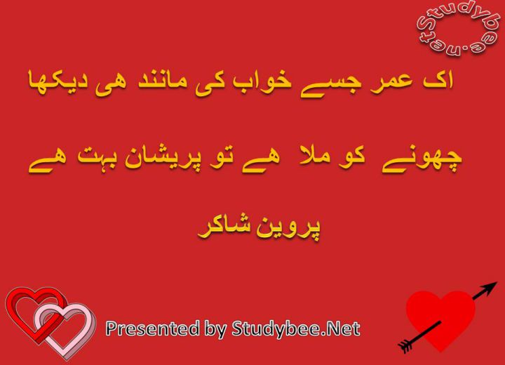 Ik umr jisay khwab ki manind hi dekha choonay ko mila hay to preshan bohat hy