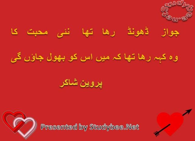 Jawaz dhoond raha tha naey mohabat ka wo keh raha tha k main us ko bhol jaun gy