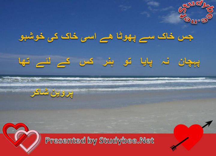 Jis khak say phoota hy usy khak ky khushboo pehchan na paya to hunr kis kay liye tha
