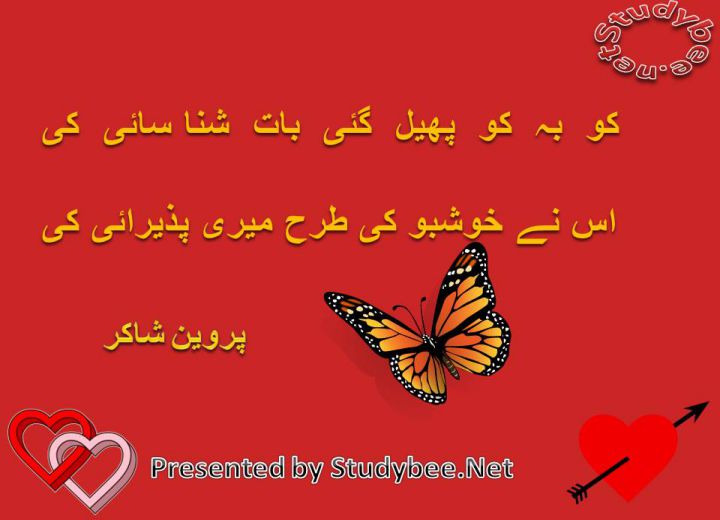 Ku ba ku phel gae bat shanasaye ky us nay khushboo ky trha mery pazeraey ky