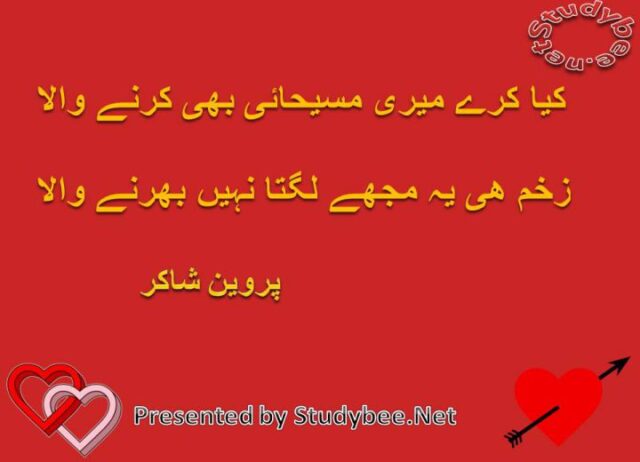 Kya kary mery masehaey bhi karnay wala zakhm ye muj lagta nahy bharnay wala