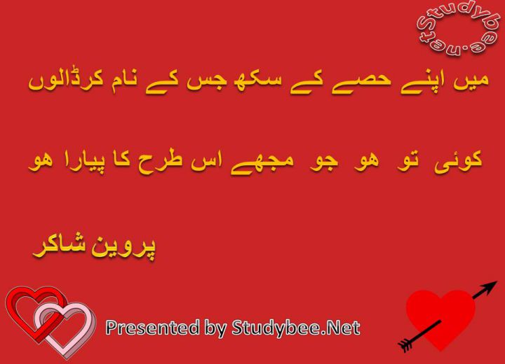 Main apnay hisay k sukh jis k nam kr dalun koi to ho jo muj is trha ka pyara ho
