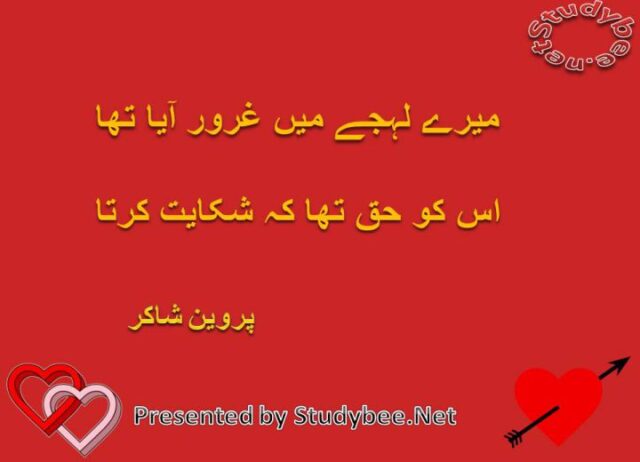 Mery lehjay main gharoor aya tha usko haq tha k shikayat karta