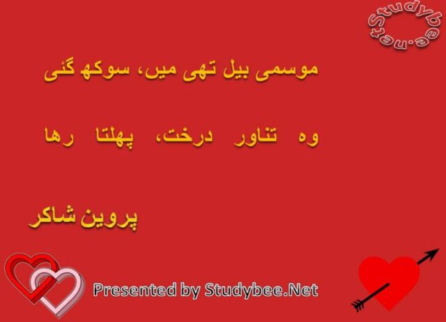 Mosmy bayl thy main sookh gaye wo tanawar darkht phalta rha