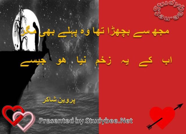 Muj say bichra tha wo pehlay bhi magar ab kay ye zakhm nya ho jesy