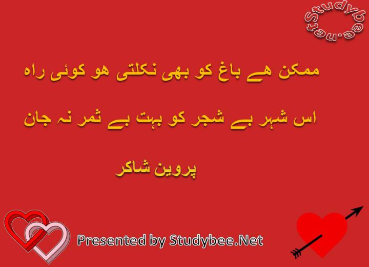 Mumkin hay bagh ko bhi nikalty ho koi rah is shehr bay shajar to bohat besamar na jan