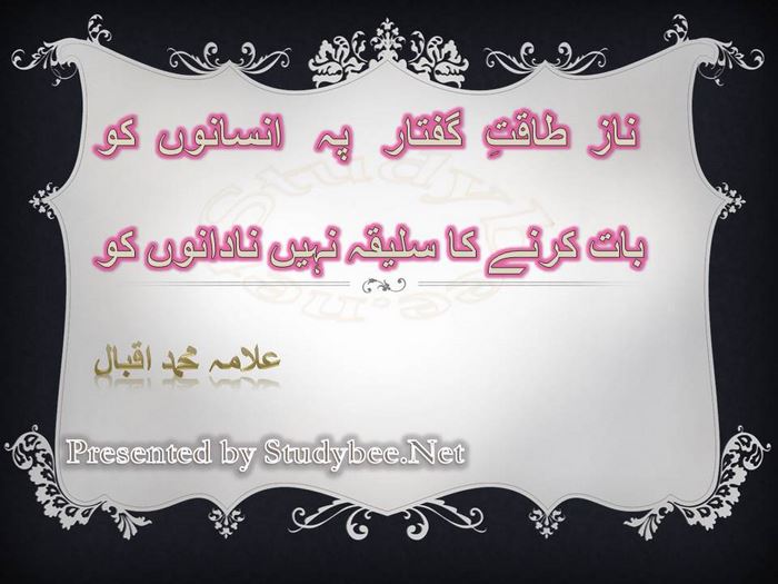 Naz taqat e guftar pay insanon ko, bat krnay ka saleeqa nahy nadanon ko