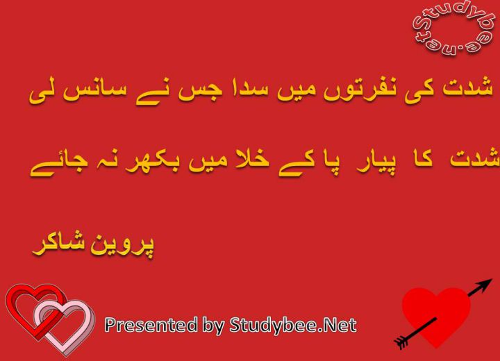 Shidat ky nafraton main sada jis nay sans ly shidat ka payar pa k khila main bikhar na jaye