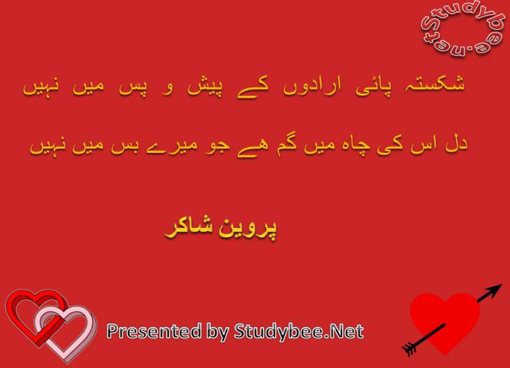 Shikasta paye iradon k pesh o pas main nahy dil us ky chah main gum hy jo mery bas main nhy