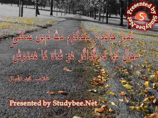 Tameez hakim o mehkoom mit nhy skty, majal kya k gadagar ho shah ka hamdosh