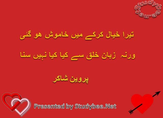 Tera khayal kr k main khamosh ho gaye warna zuban e khalq say kya kya nahy suna
