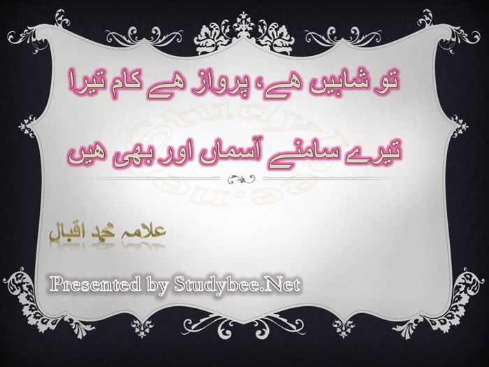 Tu shaheen hy parwaz hy kam tera, Tery samny asman aur bhi hain