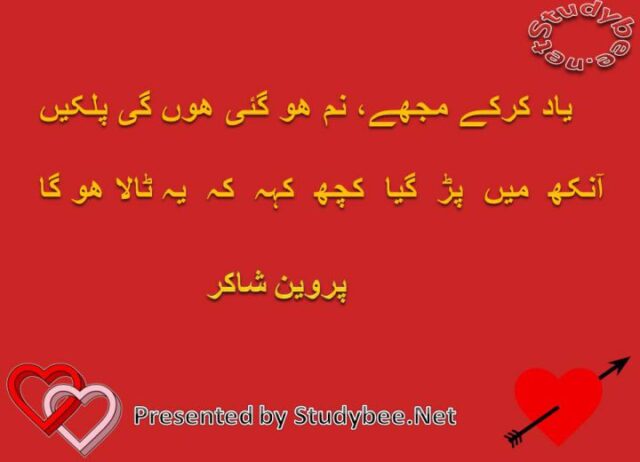 Yad kar k muj nam ho gaye hon gy palken ankh main par gya kuch keh k ye tala hoga