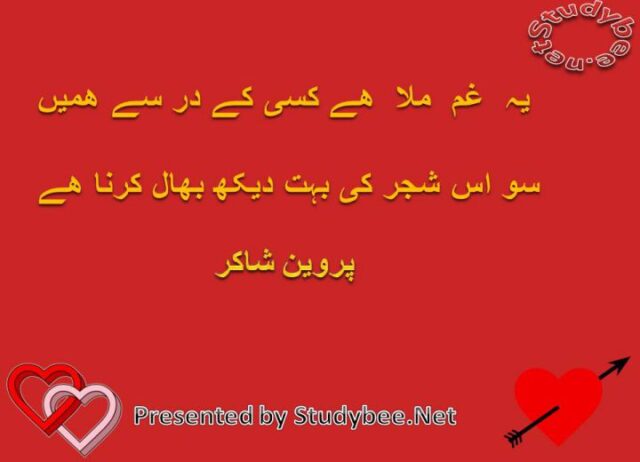 Ye gham mila hy kisy ka dar say hamen so is shajar bohat dekh bhal karna hy
