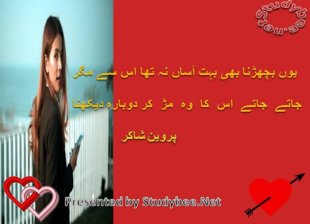 Yun bicharna bhi bohat Aasan na tha us say magr jatay jatay us ka wo mud kar dobara dekhna