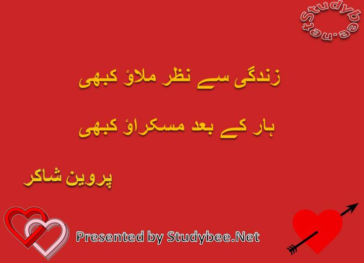 Zindgy say nazar milao kabhi har k bad muskurao kabhi