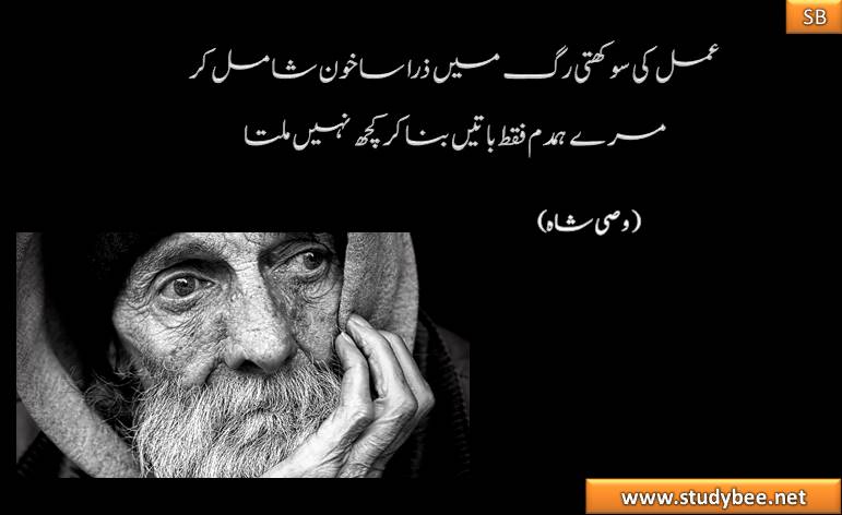 amal ky sookhty rag main zara sa khoon shamil kr mery hamdam faqt baten bana kr kuch nhy milta