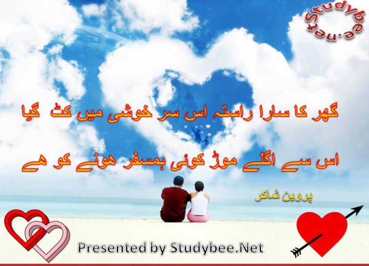 ghar ka sara rasta is sar khushy main kat gya is say aglay more p koi ham safar hony ko hy