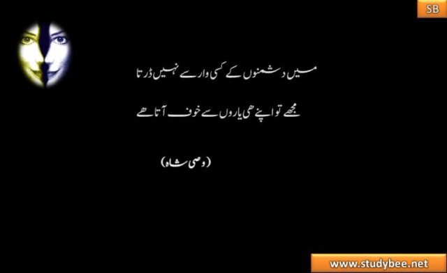 main dushmon kay kisy war say nhy darta, muj to apnay he yaron say dr lagta hy