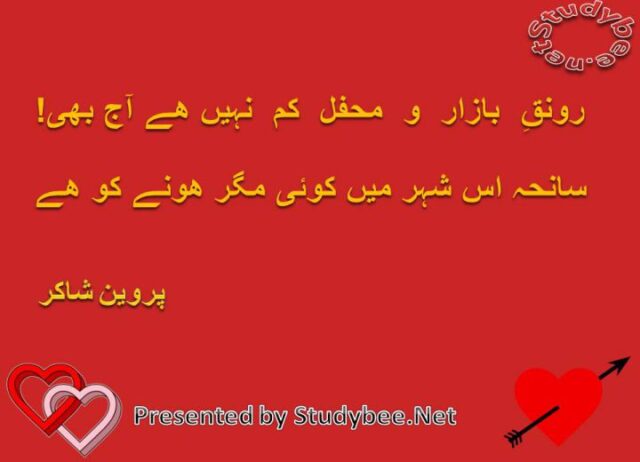 ronaq e bazar o mehfil kam nhy hy aj bhi sanha is shehr main koi mgr hony ko hy