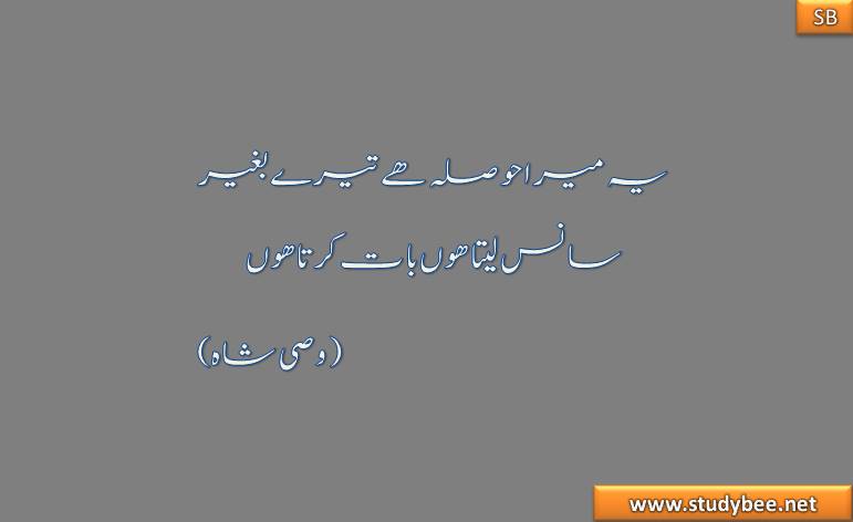 ye mera hosla hy tery bagher sans leta hu bat krta hu
