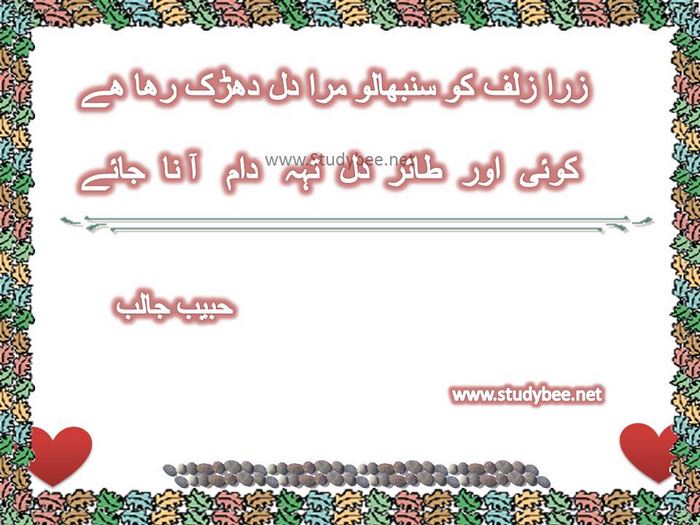 Zara zulf ko sanbhalo mera dil dharak raha hy, koi aur tayer dil tehay dam aa na jaye