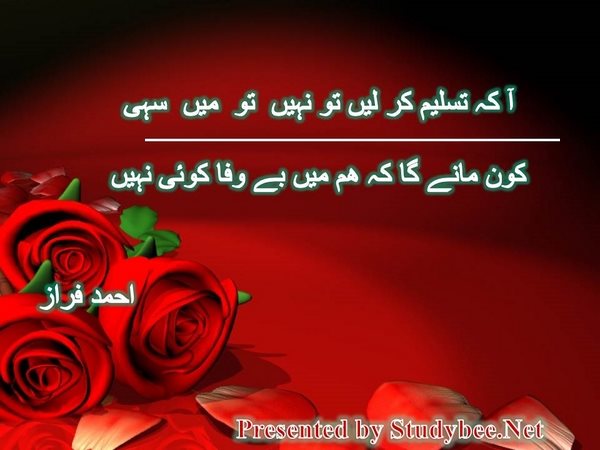 آ کہ تسلیم کر لیں تو نہیں تو میں سہی کون مانے گا کہ ھم میں بے وفا کوئی نہیں