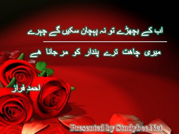 اب کے بچھڑے تو نہ پہچان سکیں گے چہرے میری چاھت ترے پندار کو مر جانا ھے