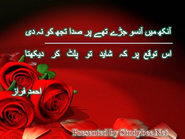 آنکھ میں آنسو جڑے تھے پر صدا تجھ کو نہ دی اس توقع پر کہ شاید تو پلٹ کر دیکھتا