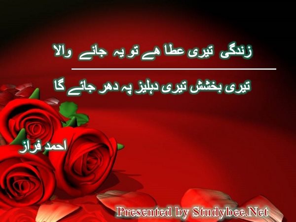 زندگی تیری عطا ھے تو یہ جانے والا تیری بخشش تیری دہلیز پہ دھر جائے گا