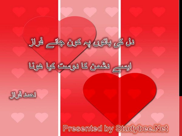 Dil ki baton p kon jaye faraz, aisay dushman ka dost kya hona