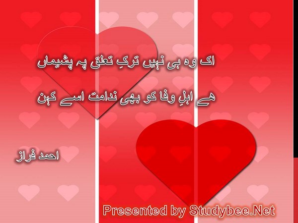 Ik wo hi nahi tark e taluq p pasheman, hy ahl e wafa ko bhi nadamat usay kehna