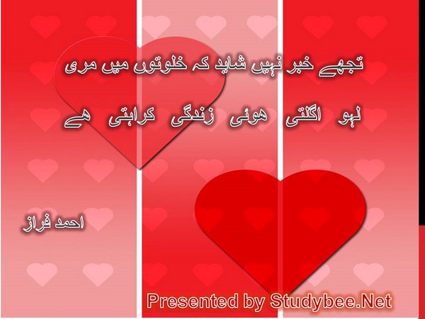 Tuj khabr nahi shayed k khulwaton main mery lahu ugalty huwy zindgy karahty hy