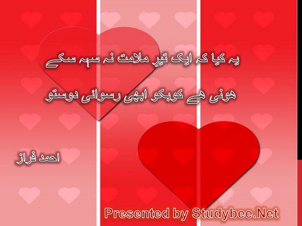 Ye kya k aik teer malamat na seh sakay, hony hy ku ba ku abhi ruswaye dosto