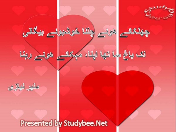 chalkaye huwy chalna khushbu e begani, ik bagh sa tha apna, mahkaye huwy rehna