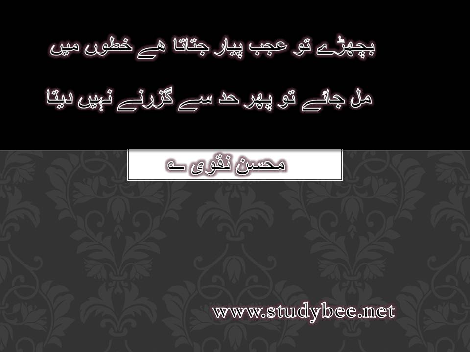 Bichary to ajab payar jatata hy khaton main, mil jaye to phir had say guzarny nahi deta