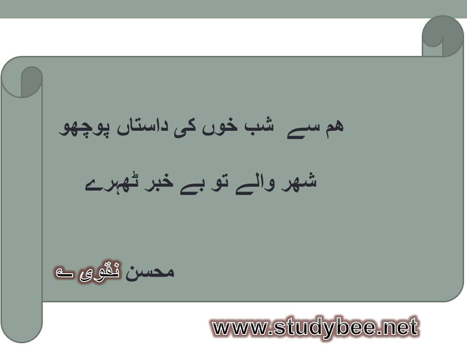 Ham say shab e khoon ki dastan poocho, shehr waly to bekhabar thehry