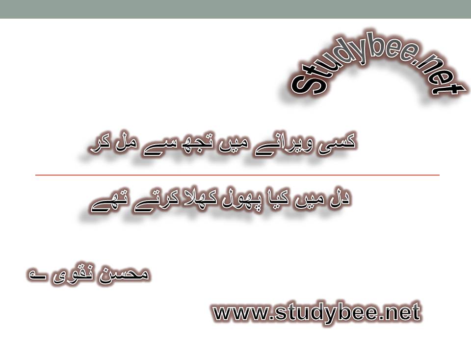 Kisy weerany main tuj say mil kar, dil main kya phool khila kartay thay