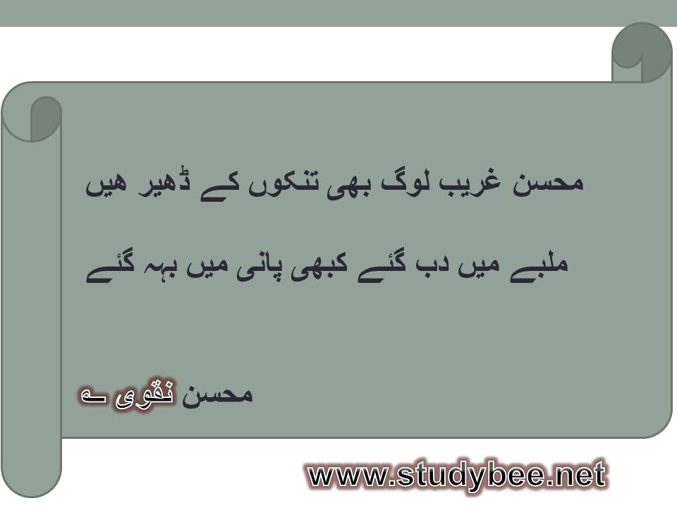 Mohsin ghareeb log bhi tinkon ke dher hain, malbay main dab gaye kabhi pani main beh gaye