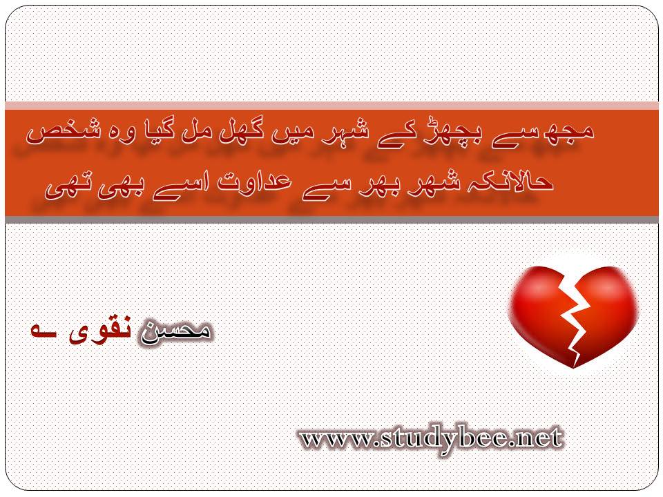 Muj say bichar kay shehr main ghul mil gya wo shakhs, halankay shehr bhar say adawat usy bhi thi