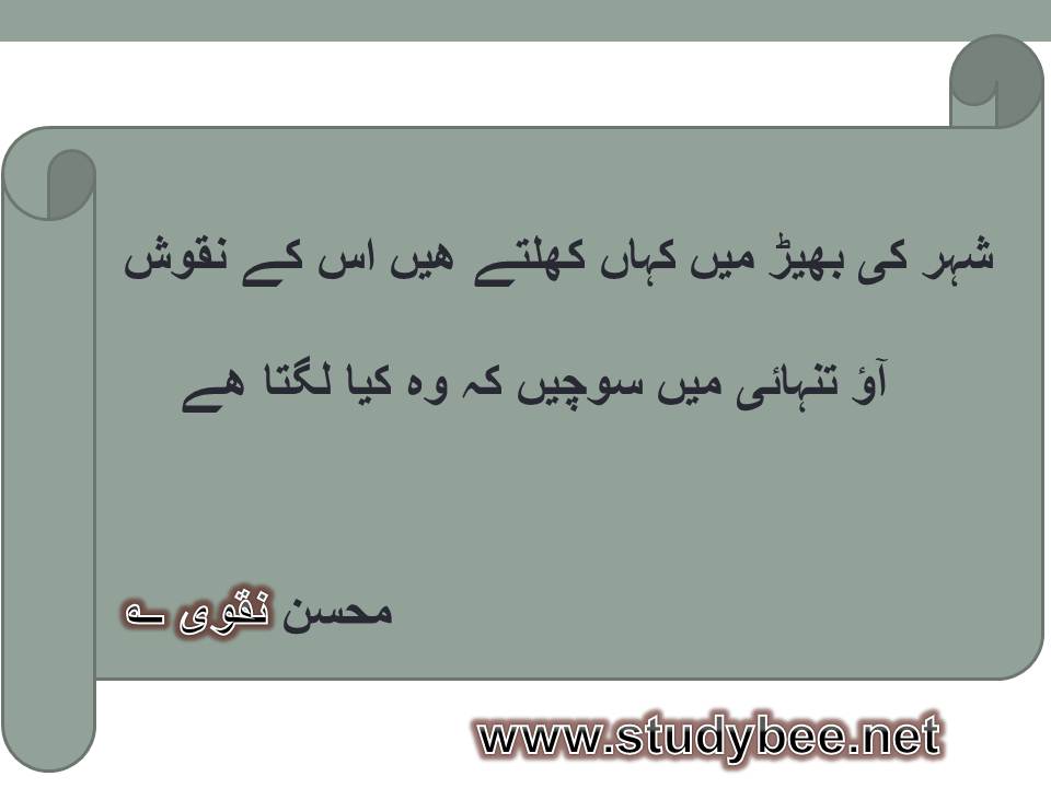 Shehr ki bheer main kahan khultay hain us kay naqoosh, aao tanhai main sochen kay wo kya lagta hy