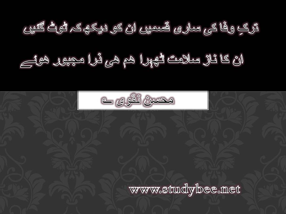 Tark e wafa ki sari qasmen un ko dekh kay toot gayen, un ka naz salamat thehra ham he zara majboor huwy