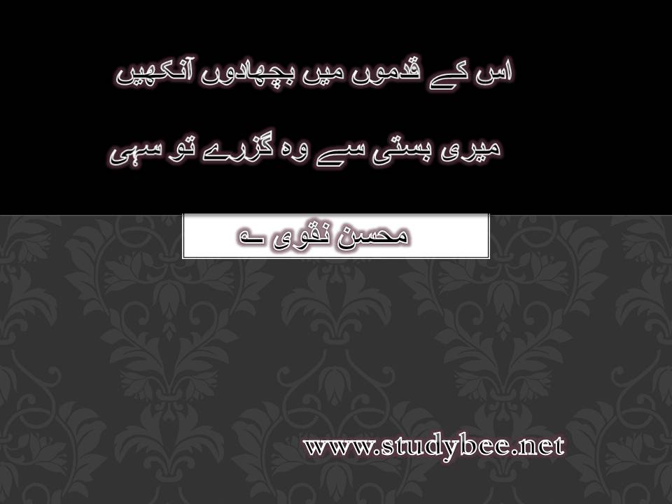 Us kay qadmon main bicha doon aankhen, mery basti say wo guzray to sahi