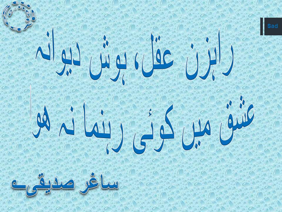 Rahzan aqal hosh dewana, ishq main koi rahnuma na huwa