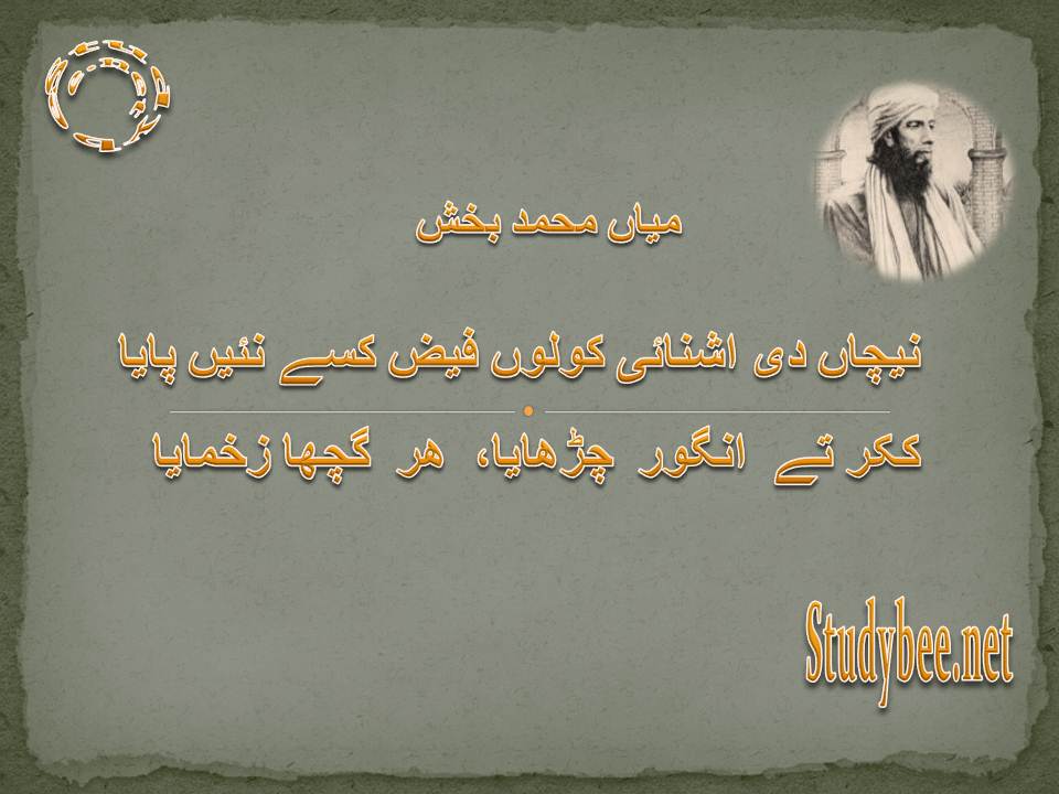 Neechan di ashnai kolon fez kise nayen paya, kikar te angoor charhaya har gucha zakhmaya