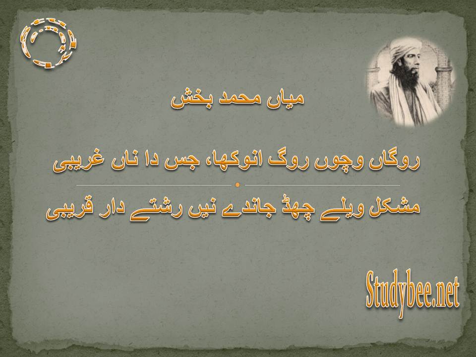 Rogan wichon rog anokha jis da nan ghareebi, mushkil wely chad jande neen rishtay dar qareebi