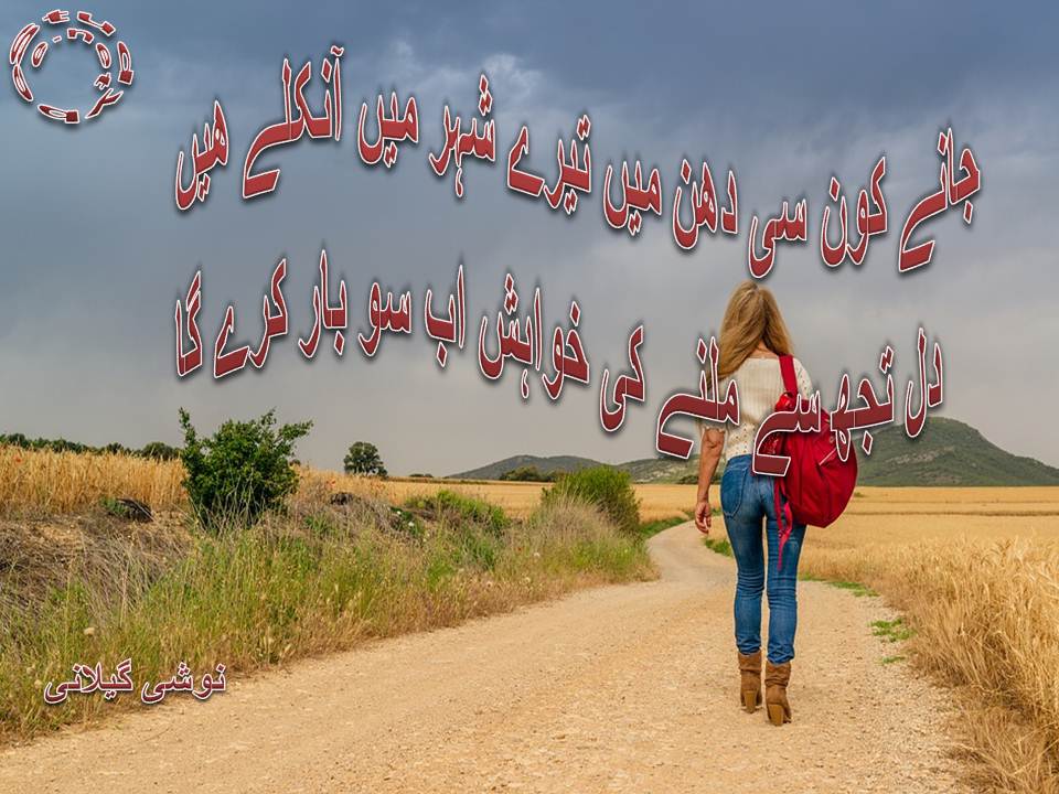 Jane kon si dhun main tery shehr main aniklay hain, dil tuj se milnay ki khwahish ab so bar kary ga